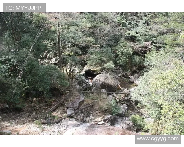 吴静独家分享攀岩心得与技巧助你轻松征服高峰