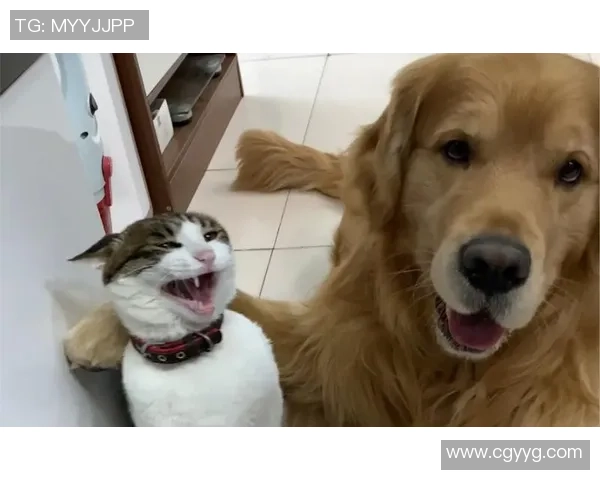 足球明星与爱犬共度欢乐时光展现温馨友谊与运动精神